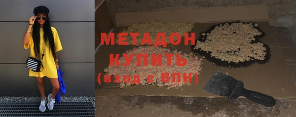 дурь Алексин