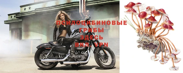 дурь Алексин