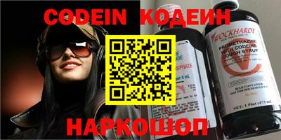 СК Кингисепп
