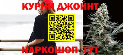 СК Кингисепп