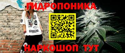 ПСИЛОЦИБИНОВЫЕ ГРИБЫ Кимры