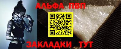 СК Кингисепп