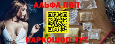 СК Кингисепп