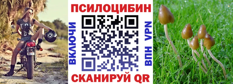 даркнет сайт  KRAKEN зеркало  Псилоцибиновые грибы MAGIC MUSHROOMS  Конаково 