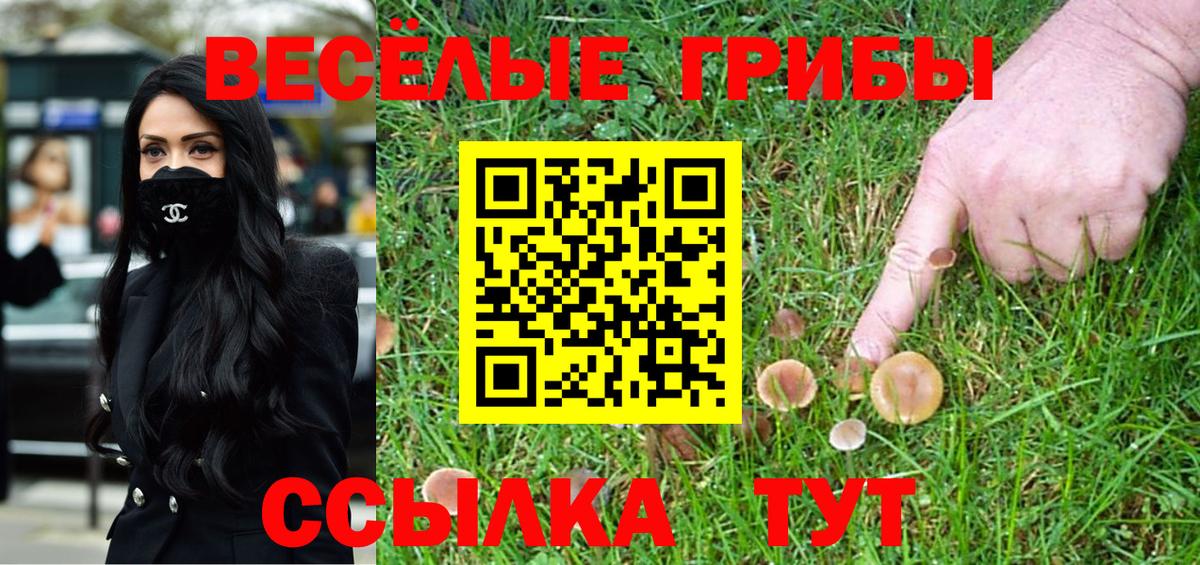Псилоцибиновые грибы GOLDEN TEACHER  Галлюциногенные грибы ЛСД  Вход с VPN  Конаково 