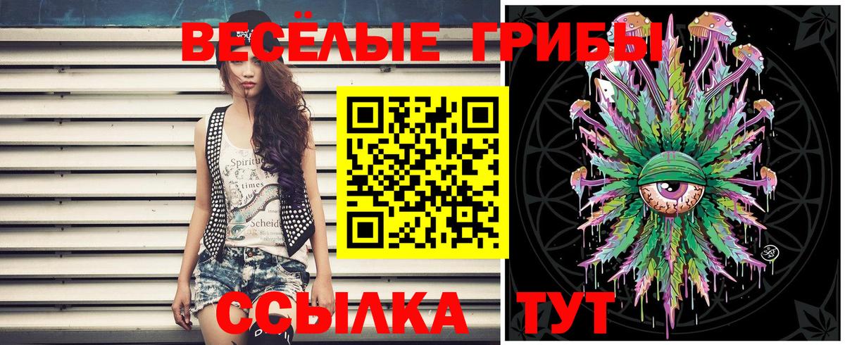 Псилоцибиновые грибы Magic Shrooms Конаково