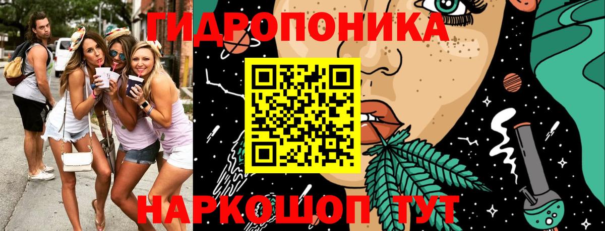 Бошки Шишки планчик  Канабис сатива  Вход с VPN  Конаково 